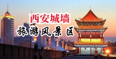 日本毛茸茸骚屄中国陕西-西安城墙旅游风景区
